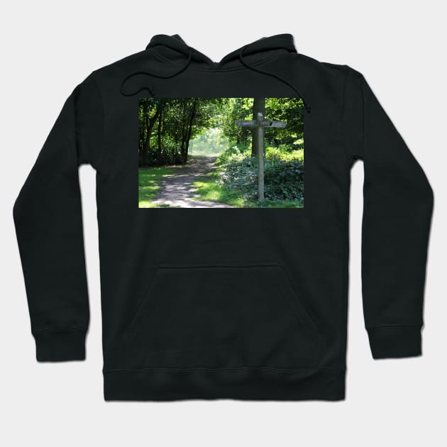 The woods are lovely... Hoodie by gracethescene